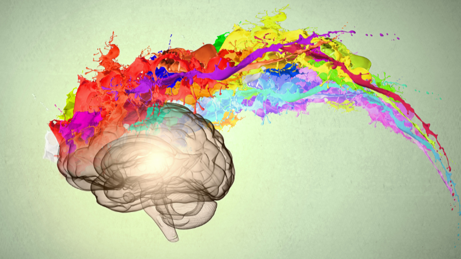brain with coloured paint