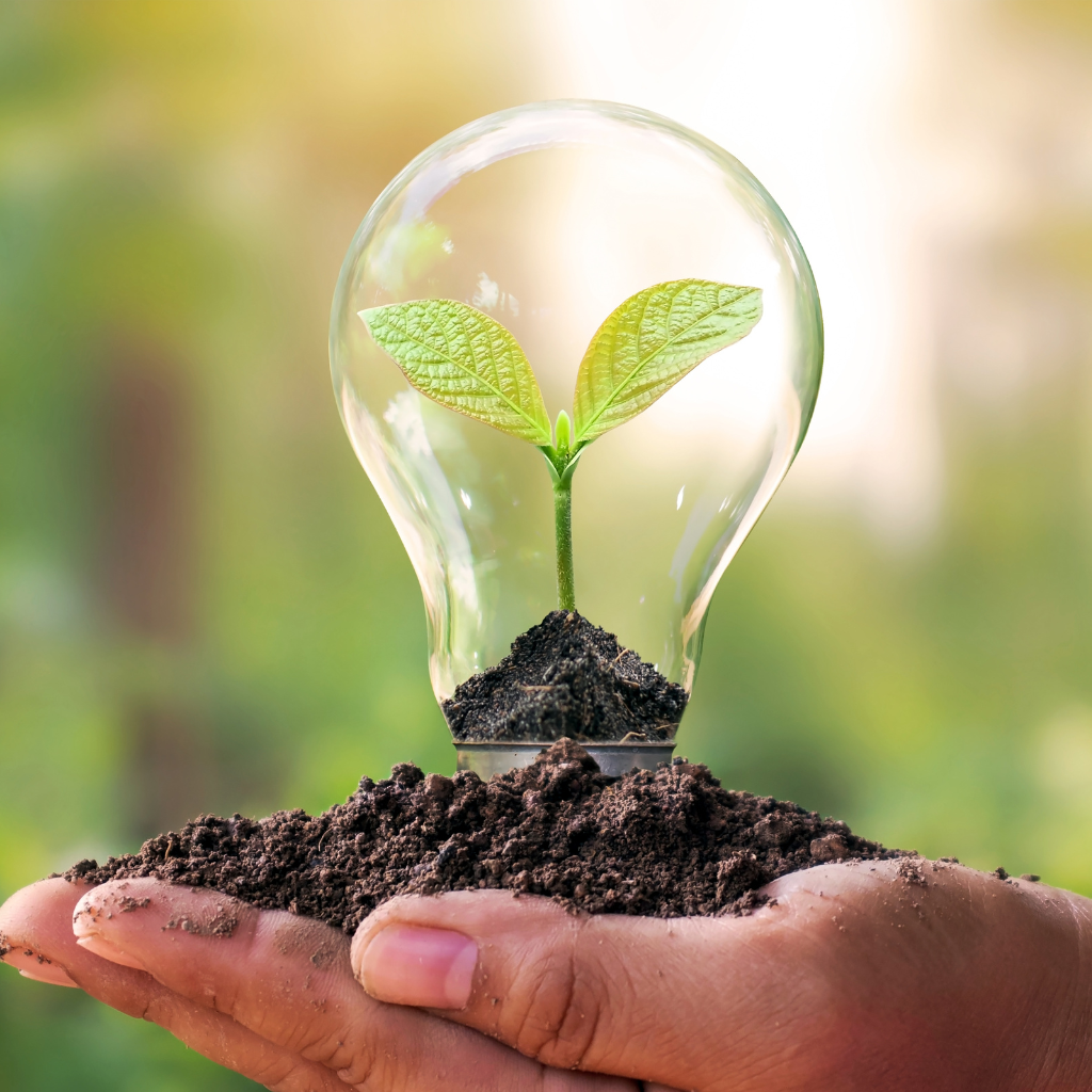 light bulb with plant orthelian thinking