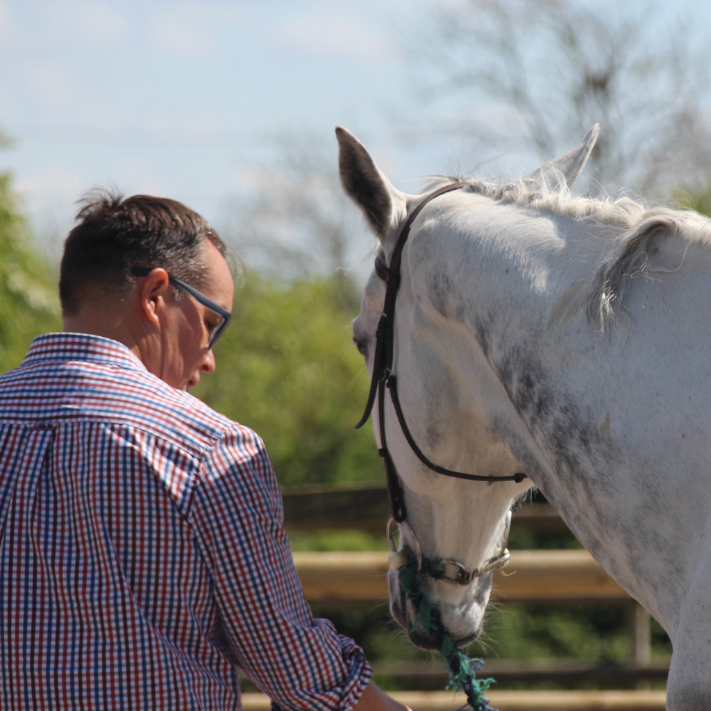 a man in a checked shirt standing next to a white horse