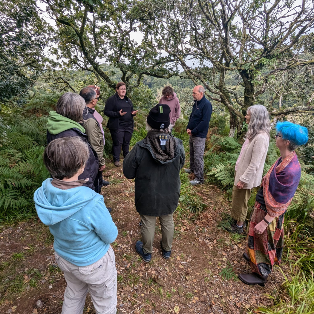 a group of people standing in a circle in a forest setting