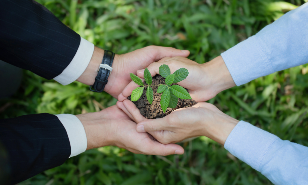 two hands holding a plant working together