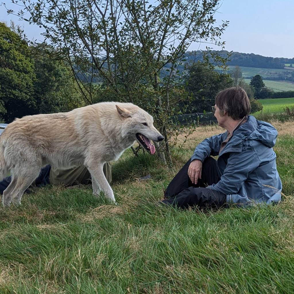 a woman interacting with a wolf